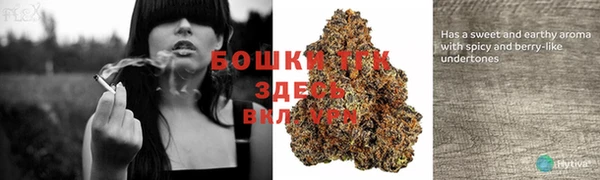 стафф Зерноград