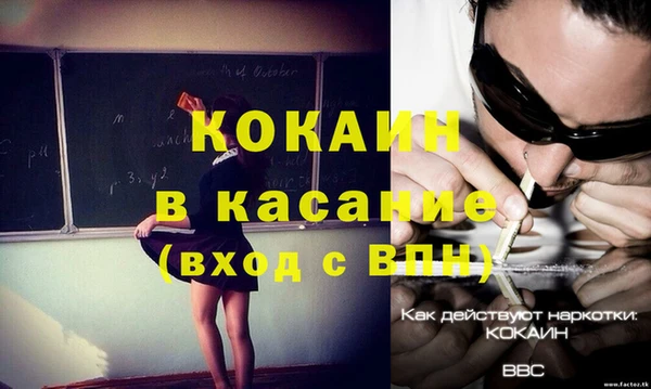 стафф Зерноград